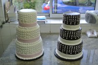 /album/wedding-cake/dsc-0309-jpg/